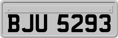 BJU5293