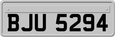 BJU5294