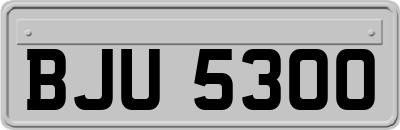 BJU5300
