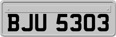 BJU5303