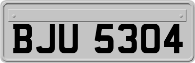 BJU5304