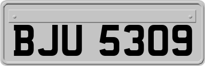 BJU5309