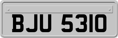BJU5310