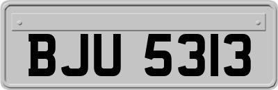 BJU5313