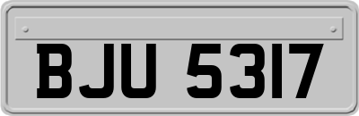 BJU5317