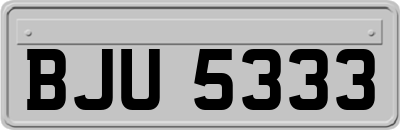 BJU5333