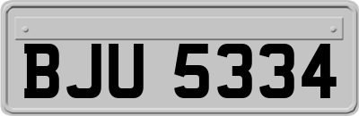 BJU5334
