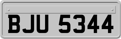BJU5344
