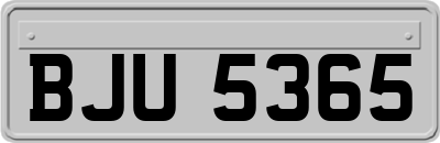 BJU5365