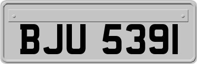 BJU5391