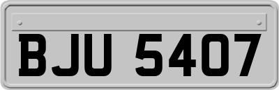 BJU5407