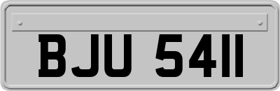 BJU5411