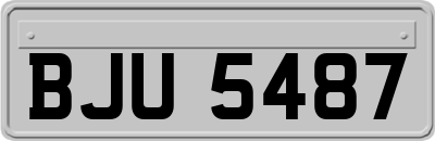 BJU5487