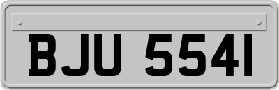 BJU5541