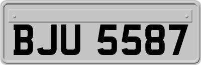 BJU5587