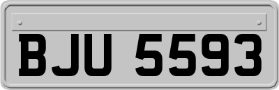 BJU5593
