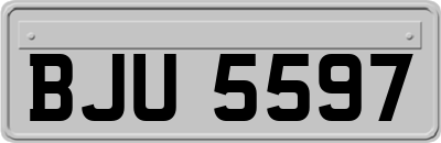 BJU5597