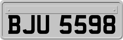 BJU5598