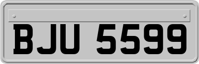 BJU5599