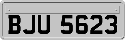BJU5623