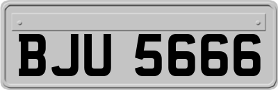 BJU5666