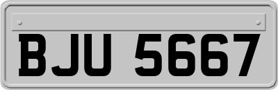 BJU5667