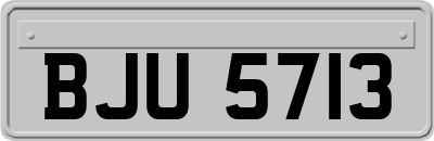 BJU5713