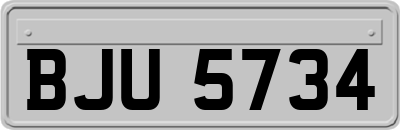 BJU5734