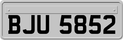 BJU5852