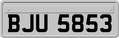BJU5853