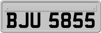 BJU5855