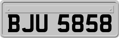 BJU5858