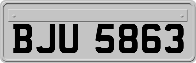 BJU5863