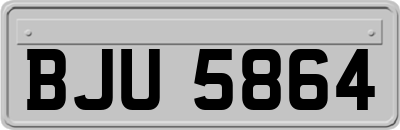 BJU5864