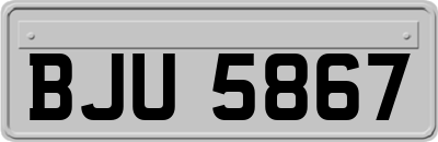 BJU5867
