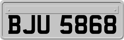 BJU5868