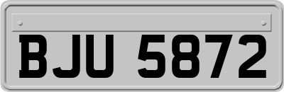 BJU5872