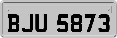 BJU5873