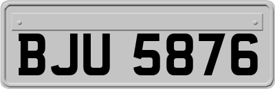 BJU5876