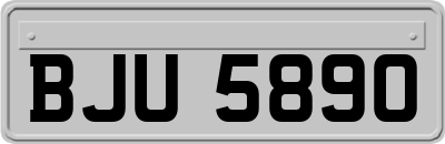BJU5890