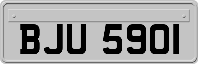 BJU5901