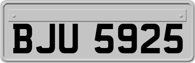 BJU5925