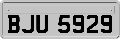 BJU5929