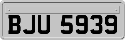 BJU5939