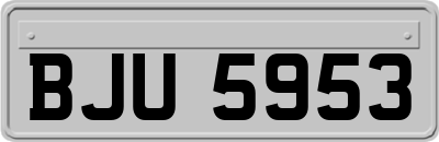 BJU5953