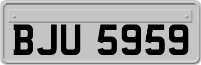 BJU5959