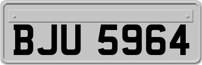 BJU5964