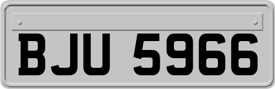 BJU5966