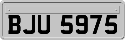 BJU5975