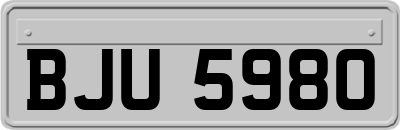 BJU5980